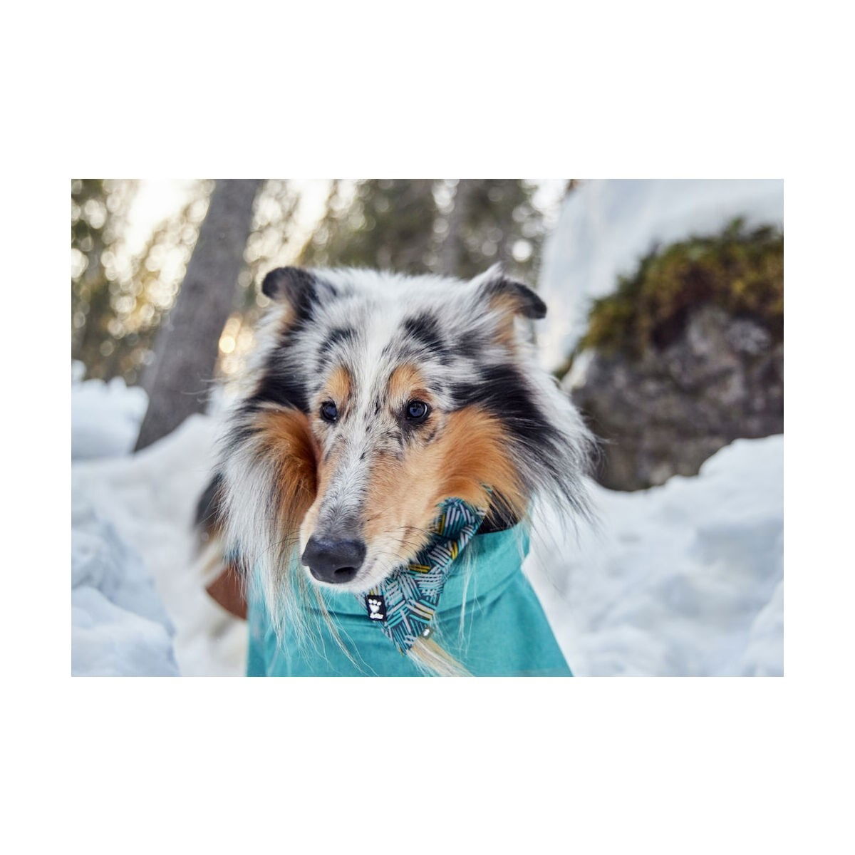 Hurtta Monsoon Coat II ECO peacock