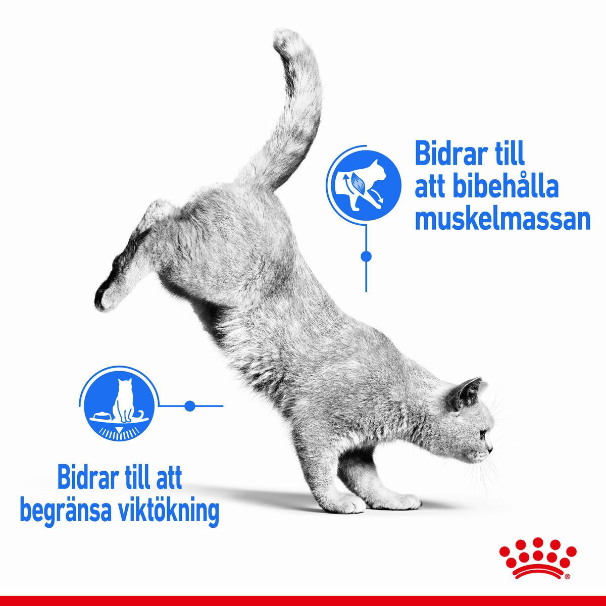 Royal Canin Light Weight Care Gravy Adult våtfoder för katt