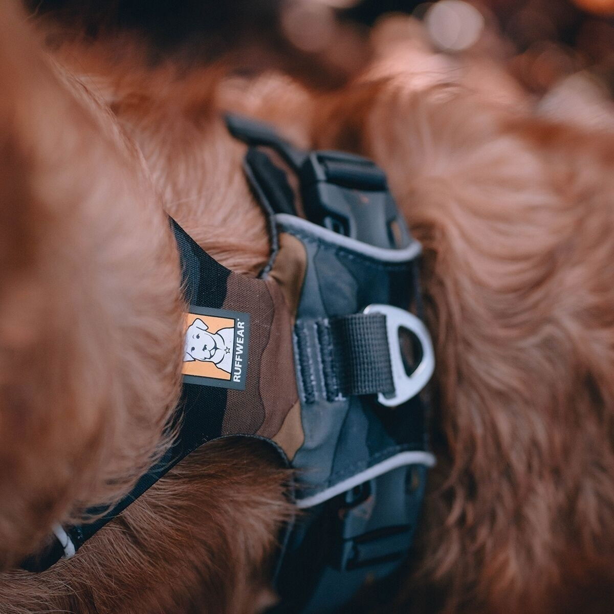 Ruffwear Front Range Harness Moonlight Mountains