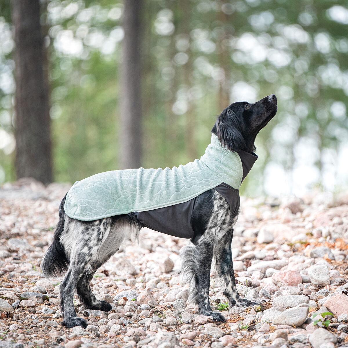 Pomppa Jumppa Fleectäcke Usnea | Hund - Hundkläder - Hundtröjor | DogStyle