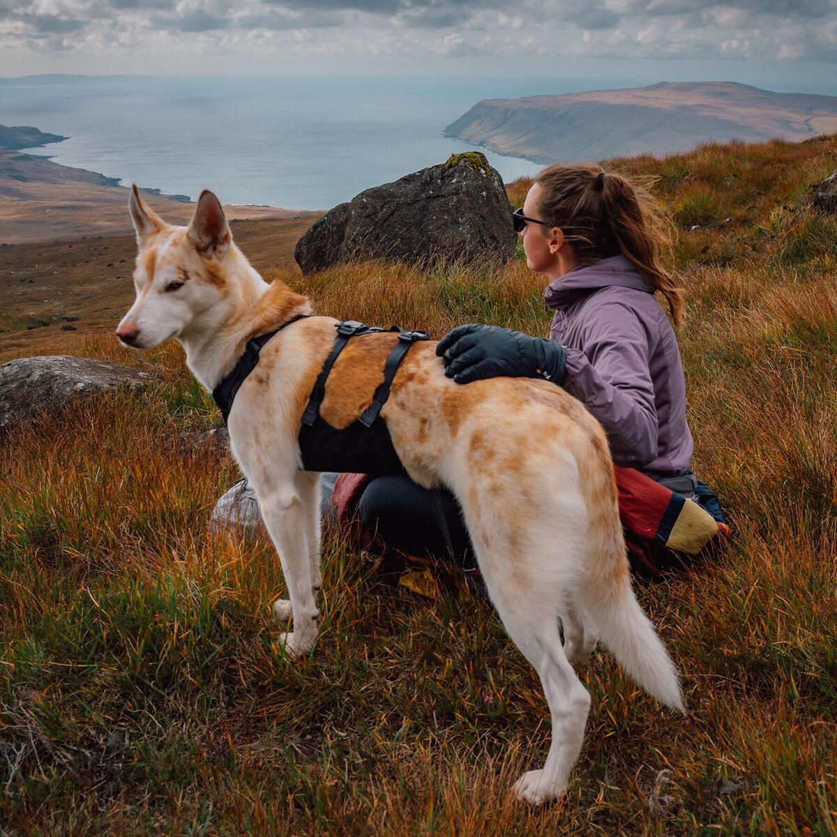 Ruffwear Ridgeline Harness Obsidian Black