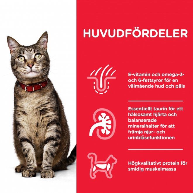 Hills Science Plan Feline Adult Chicken