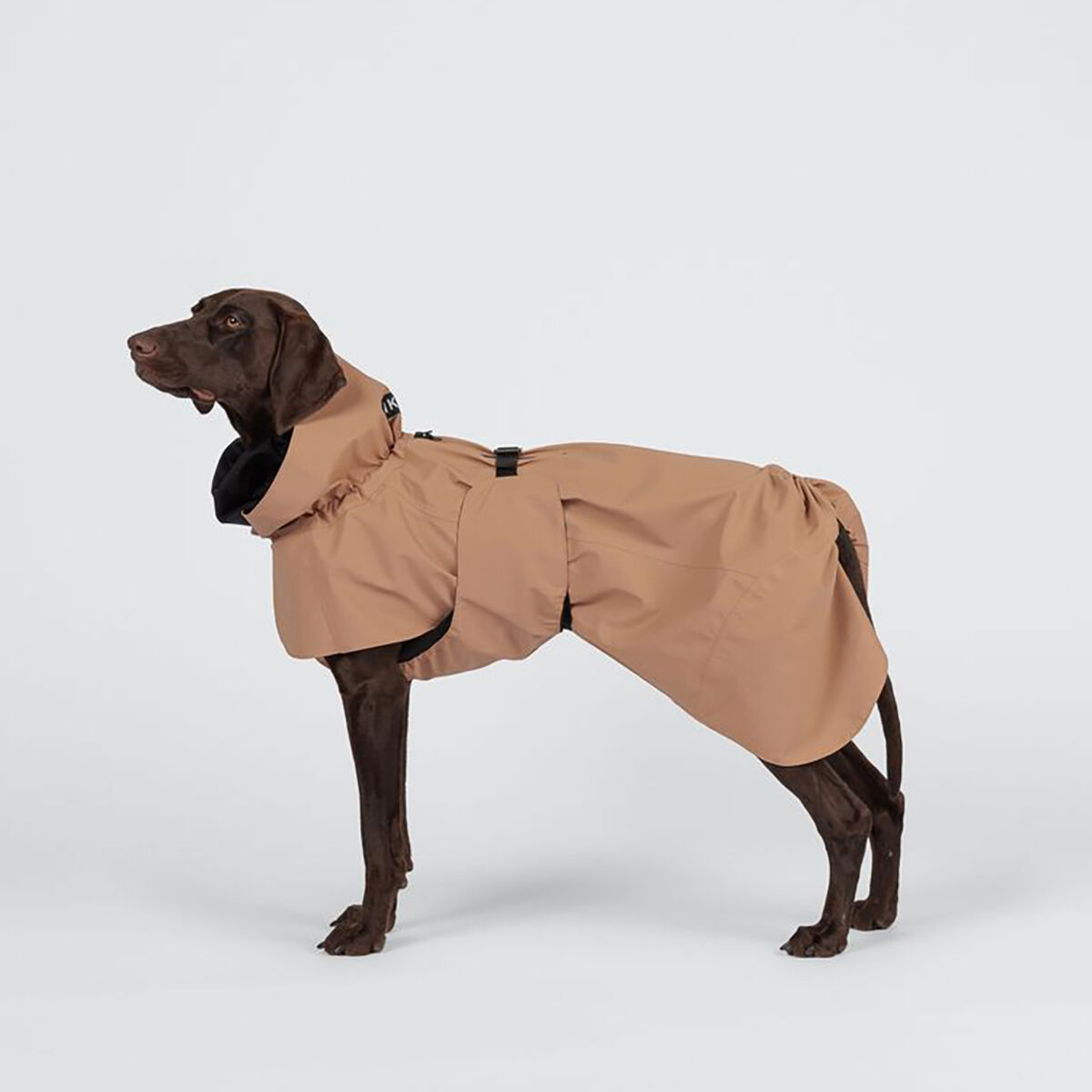 PAIKKA Visibility Regnjacka till Hund Brun
