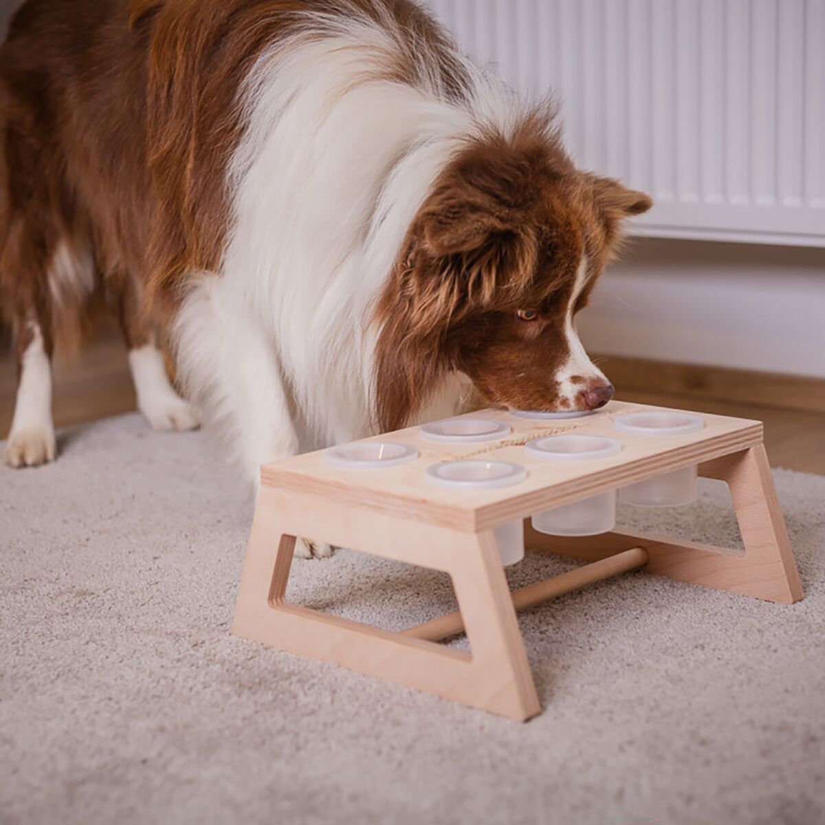 Loype Nosework Stand w. containers