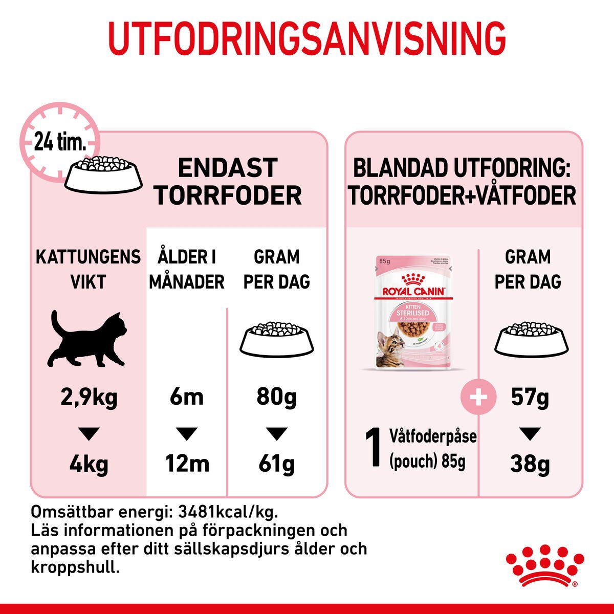 Royal Canin Kitten Sterilised torrfoder för kattunge