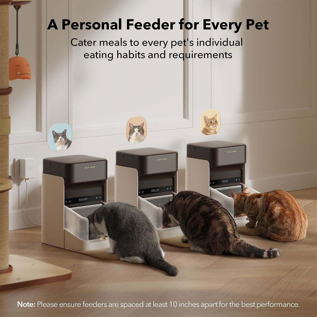 Petlibro one RFID Pet Feeder