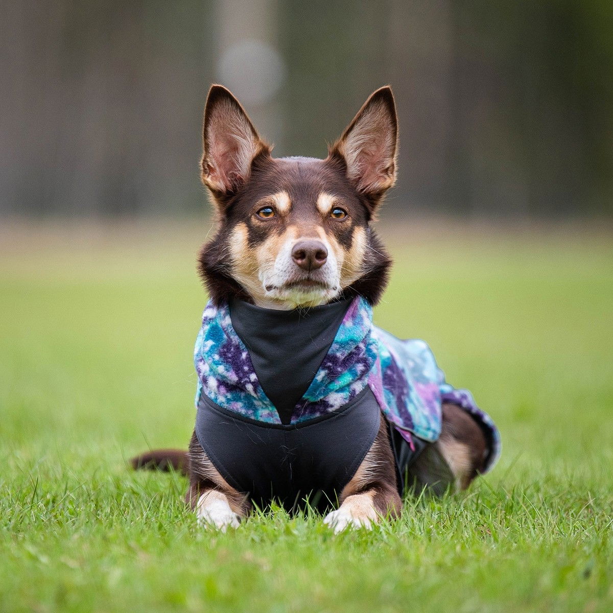 Jumppa Pomppa, Aurora