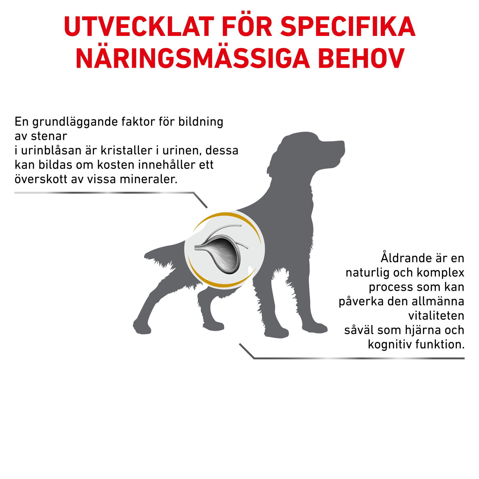 Royal Canin Veterinary Diets Urinary S/O Ageing 7+ våtfoder för hund