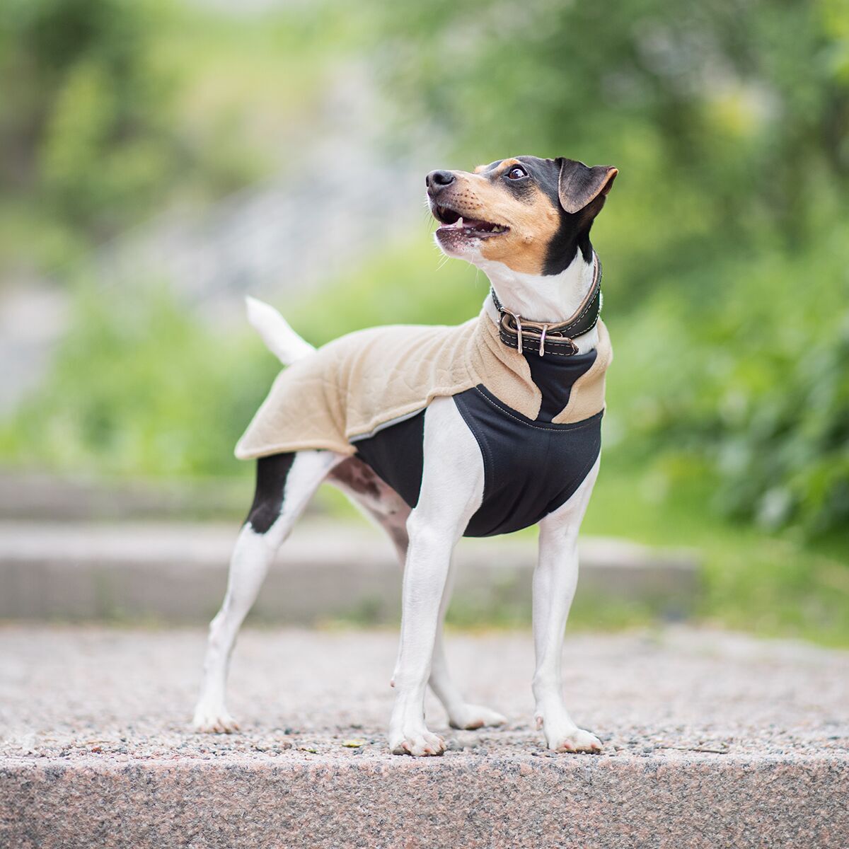 Pomppa Jumppa Fleecetäcke till Hund Sand