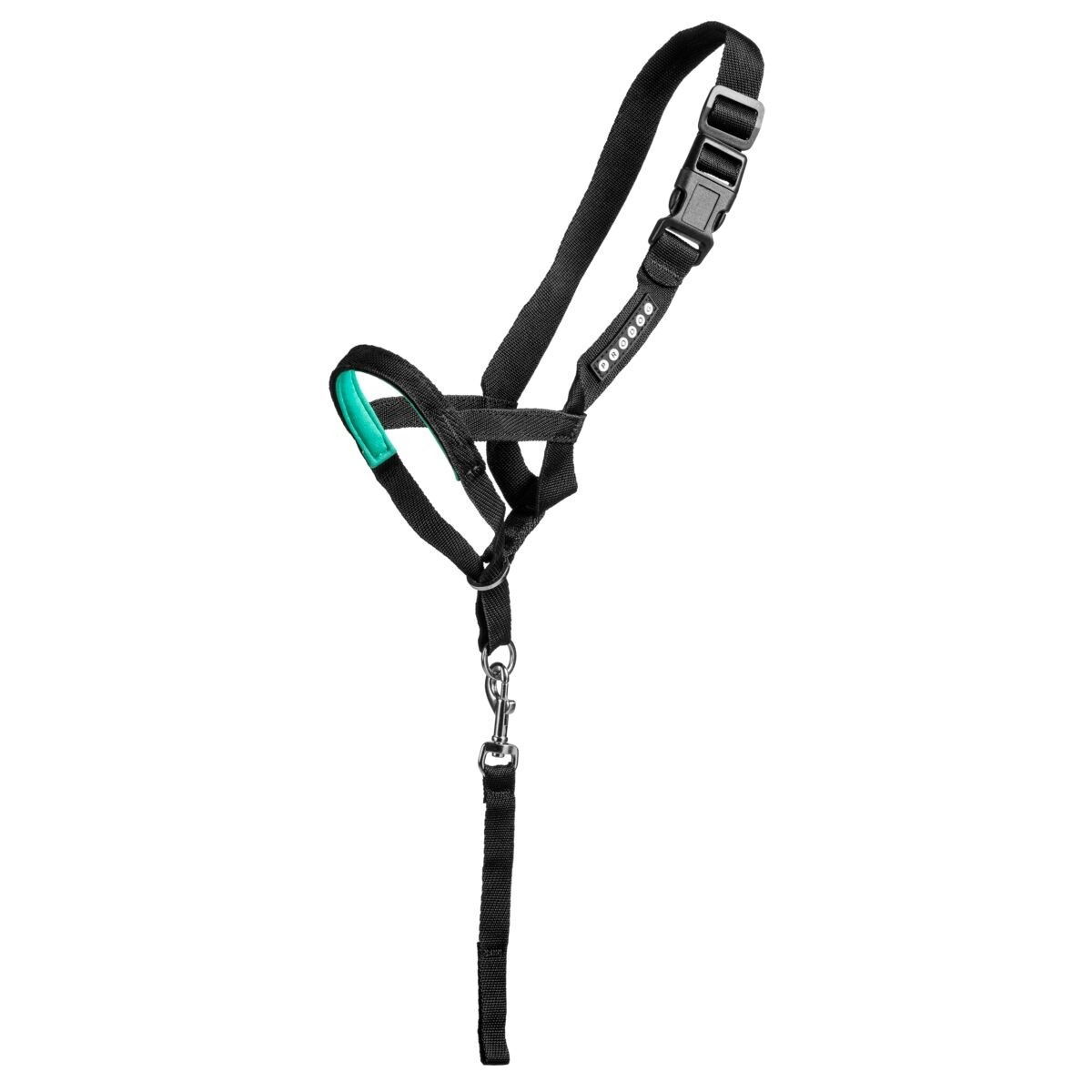 Pro Dog Control Head collar