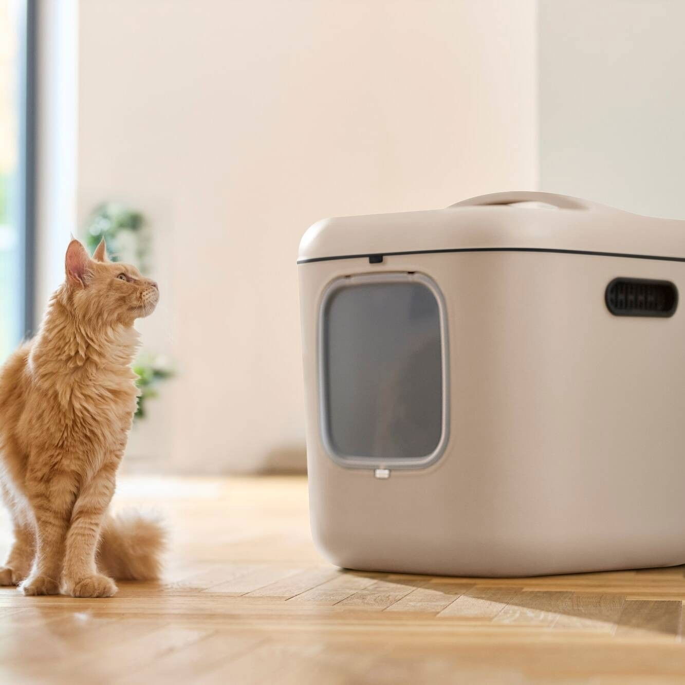 MyPet Cat Toilet Biala XL