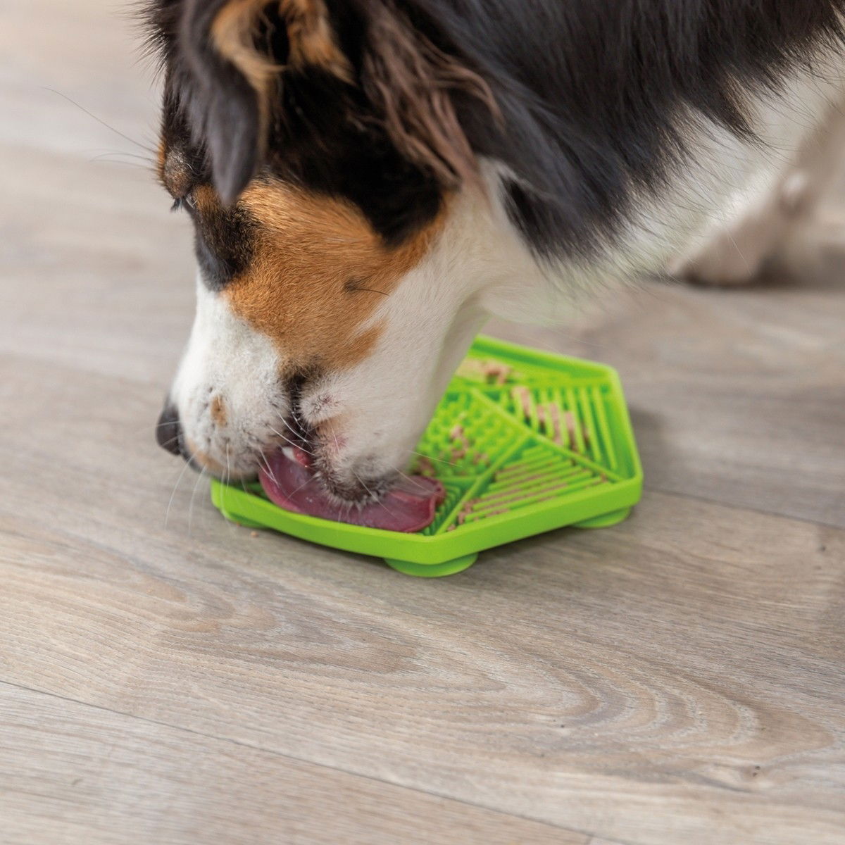 Trixie Lick'n'Snack mat 17 cm, green