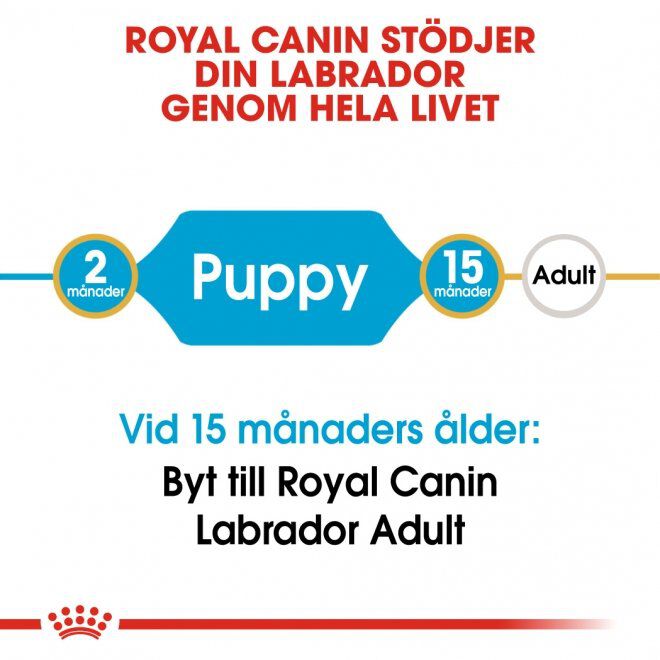 Royal Canin Labrador Retriever Puppy torrfoder för hundvalp