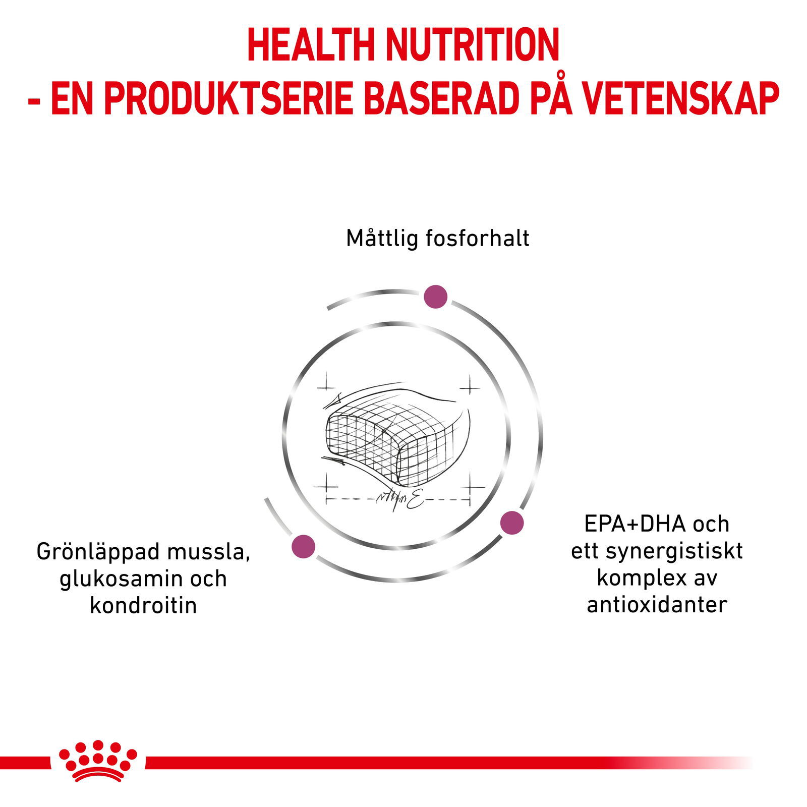 Royal Canin Veterinary Diets Vital Early Renal torrfoder för katt