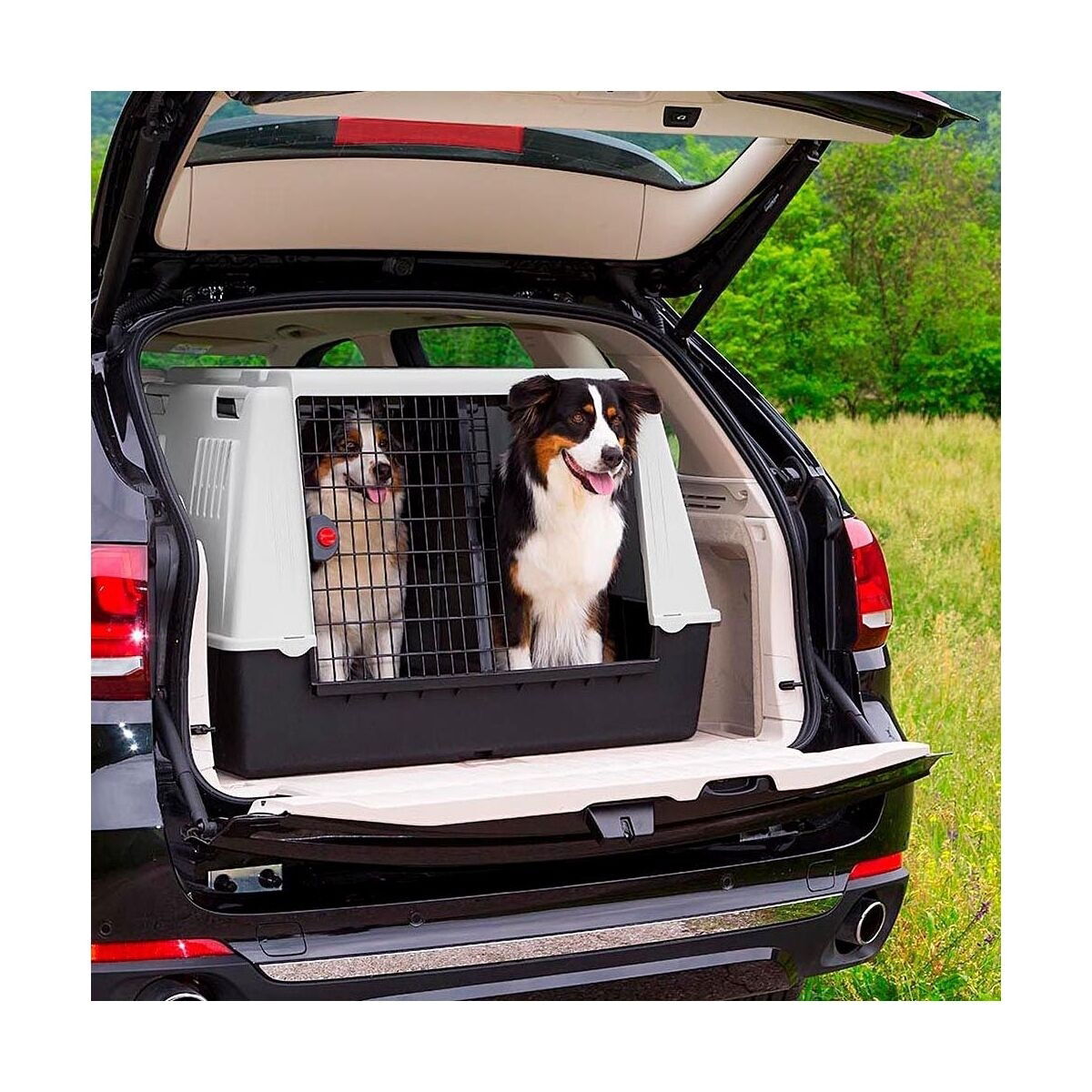 Transportbur bil Atlas