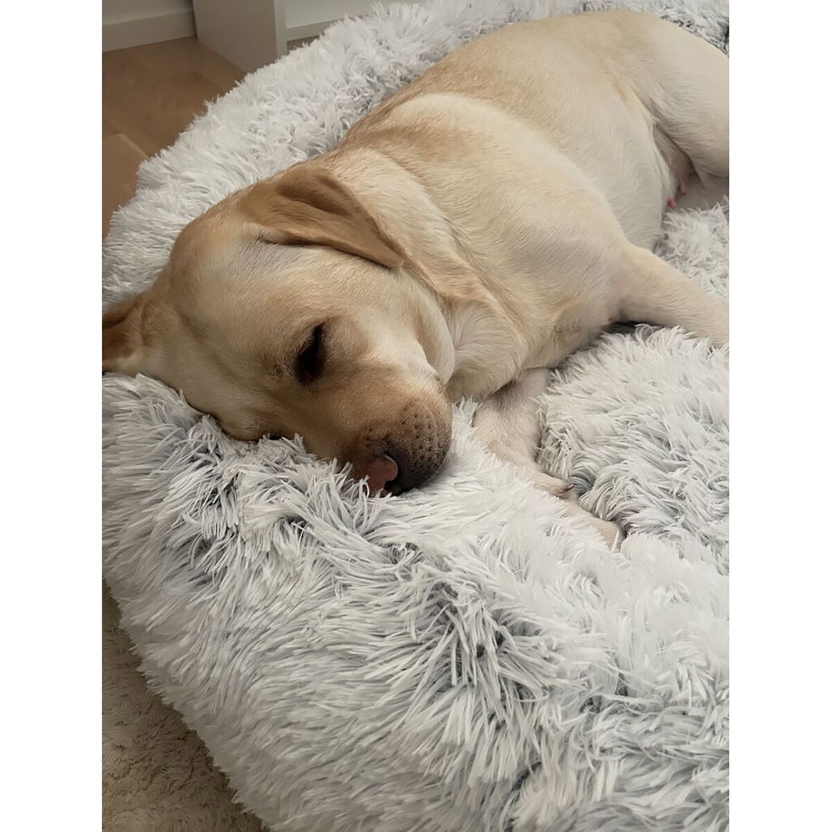 Best Friends by Sheri Donut bed shag, frost