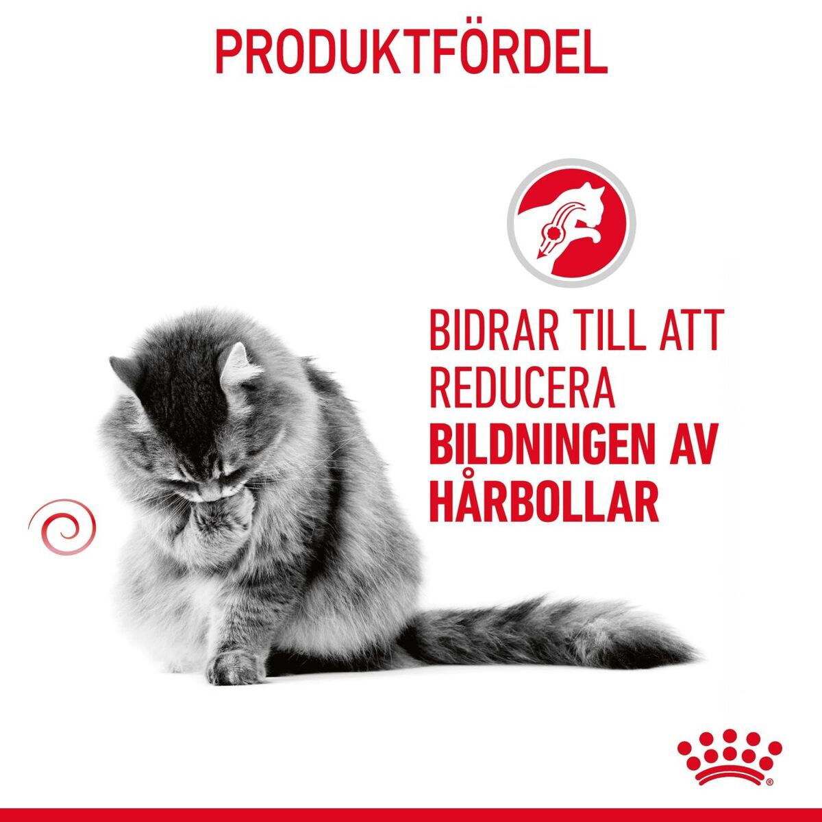 Royal Canin Hairball Care Adult torrfoder för katt