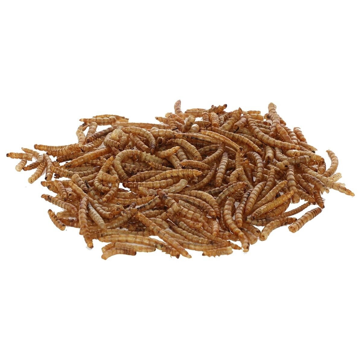 Mealworms 900g bucket