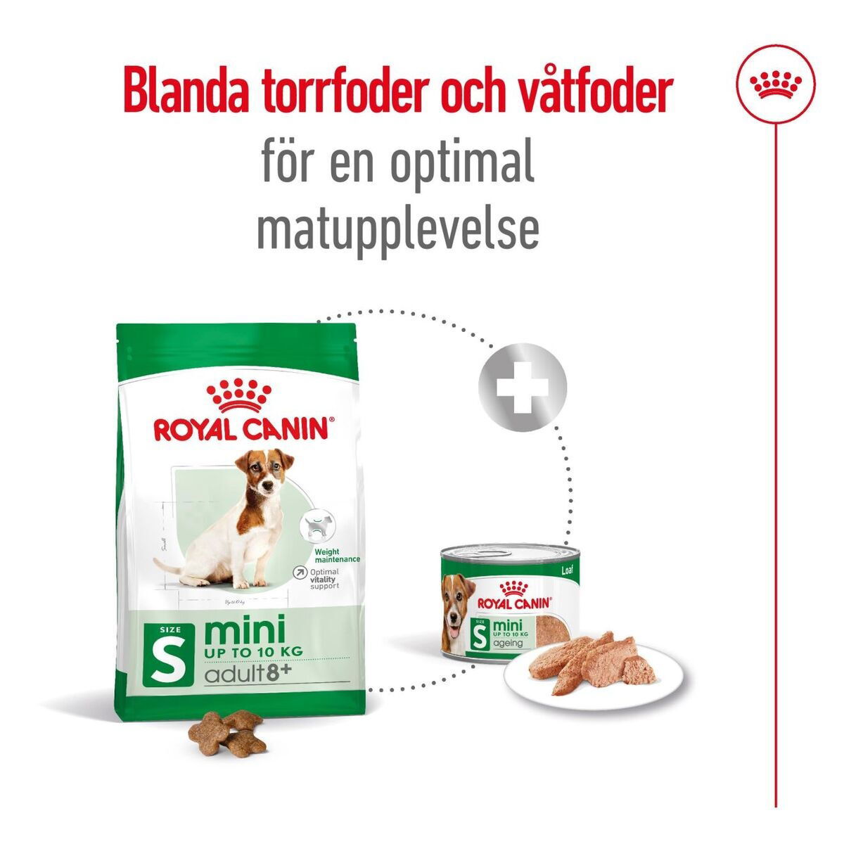 Royal Canin Mini Adult 8+ torrfoder för hund