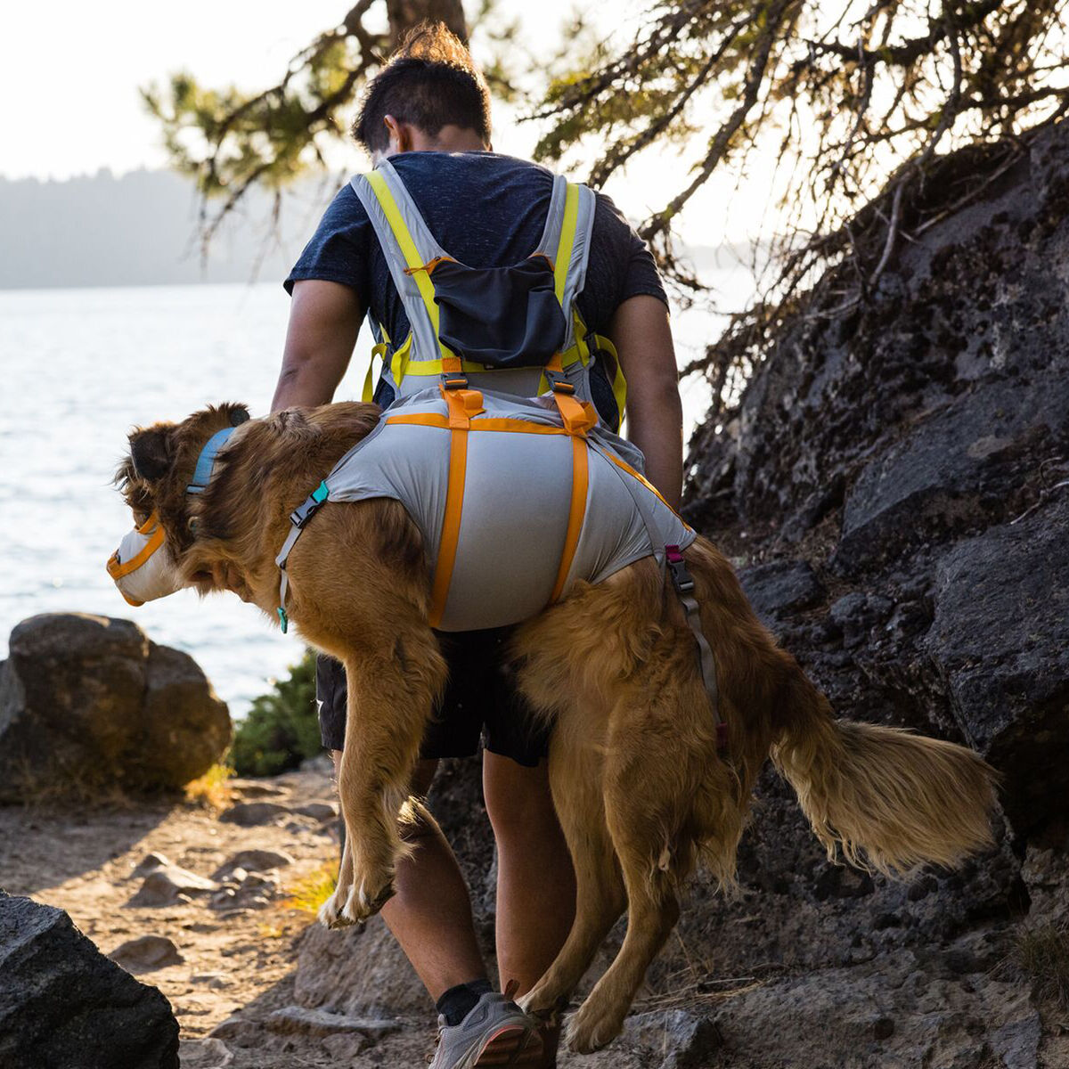 Ruffwear BackTrak Evakueringskit till