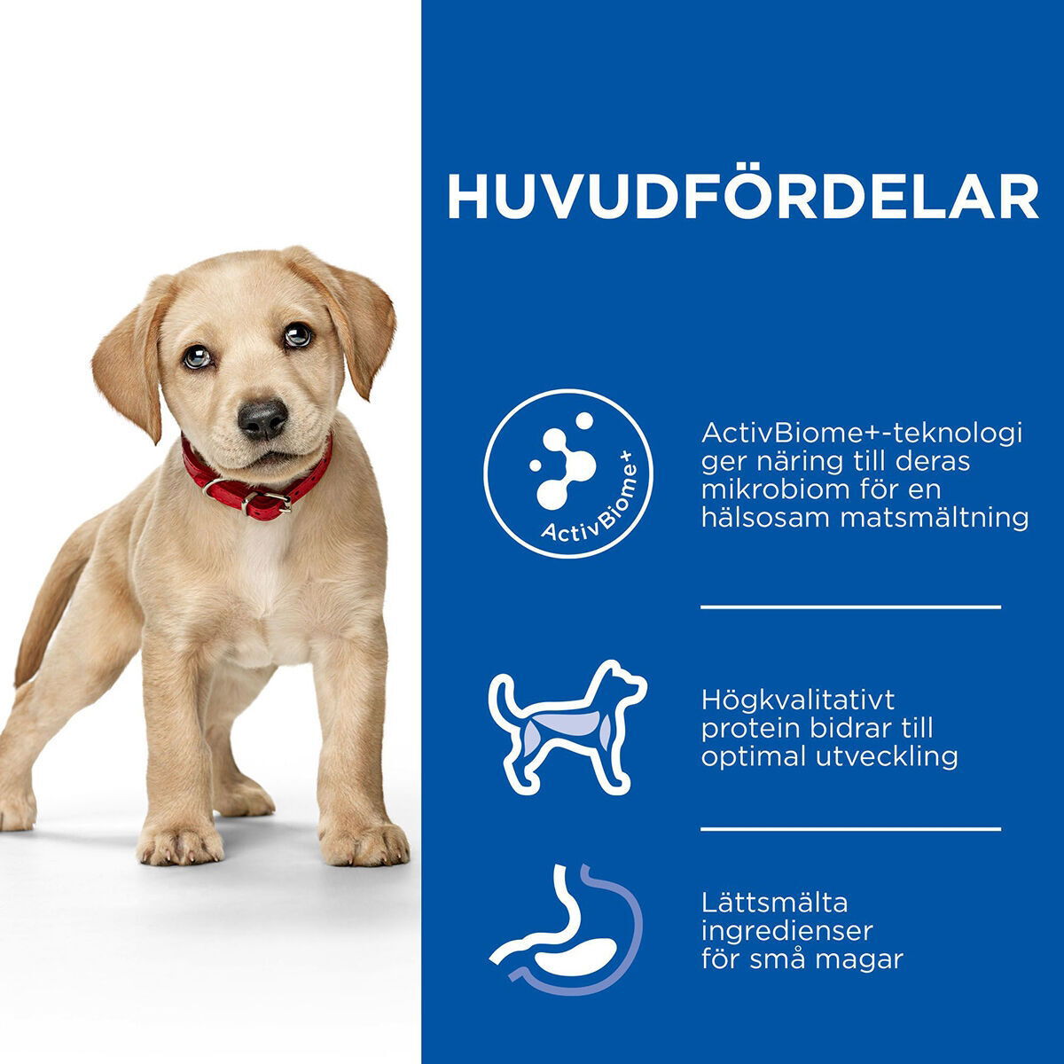 Hill's SP Puppy Perfect Digestion L Ch