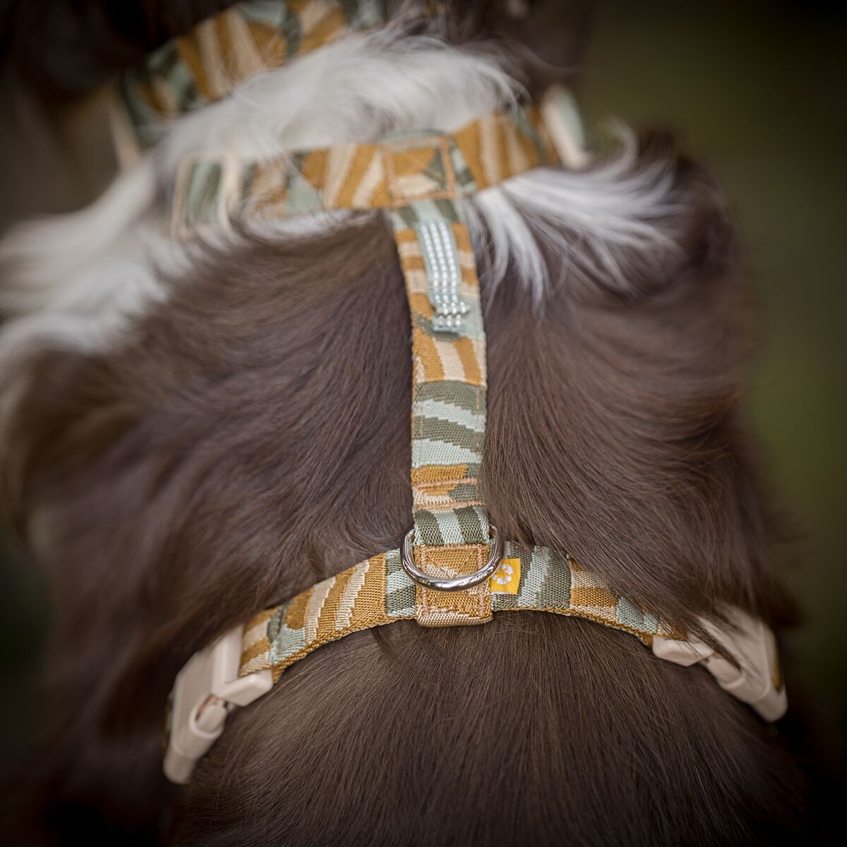 Woolly Wolf Cloudbeam Harness