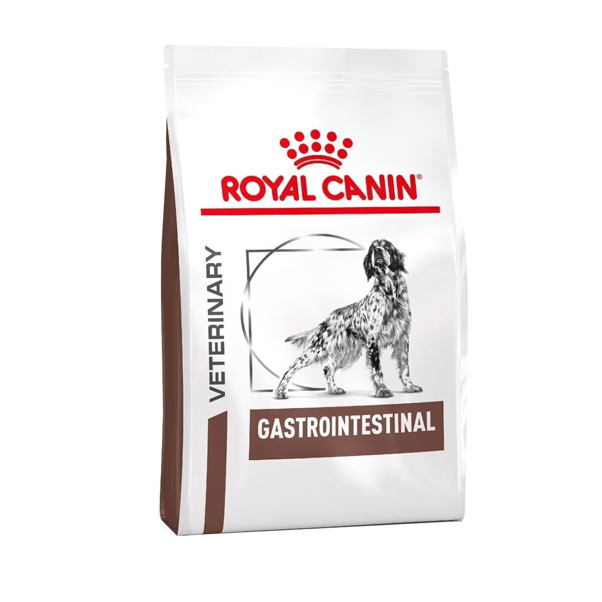 Royal Canin Veterinary Diets Gastrointestinal torrfoder för hund