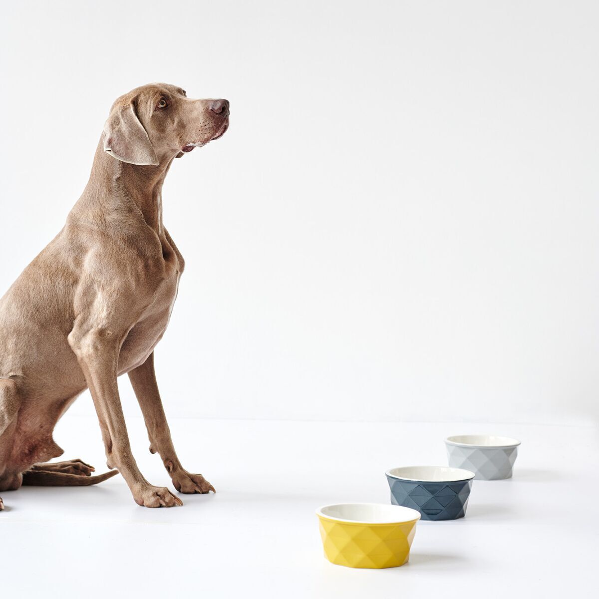 Hunter Ceramic Bowl Eiby Yellow