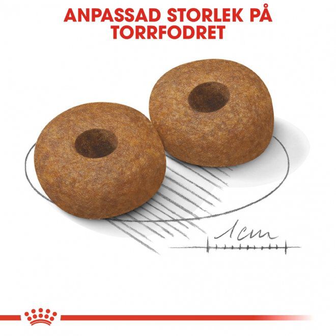 Royal Canin Medium Ageing 10+ torrfoder för hund