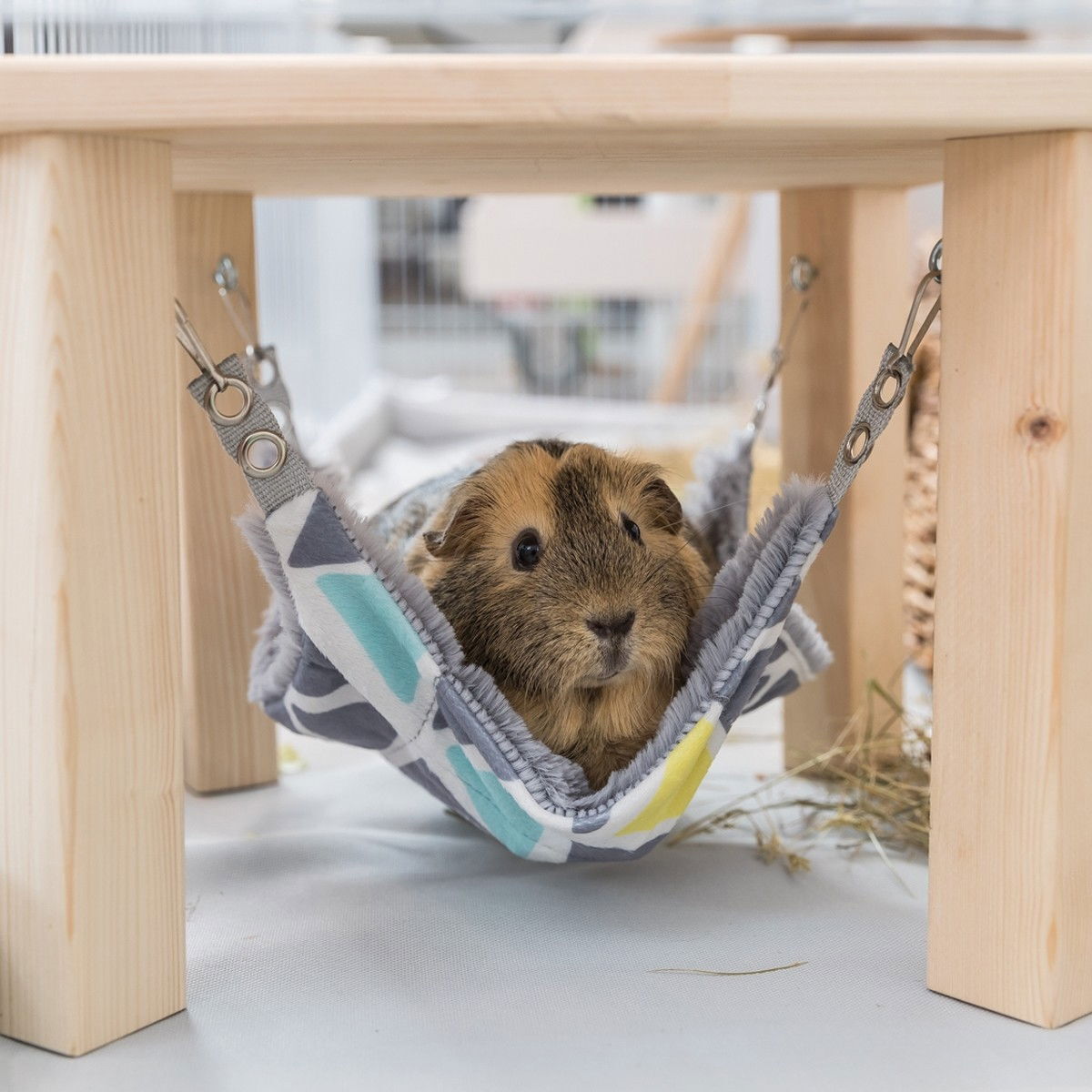 Trixie pieneläimen katos riippumatolla