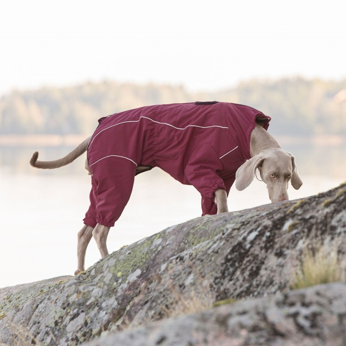 Rukka Thermal overall wine