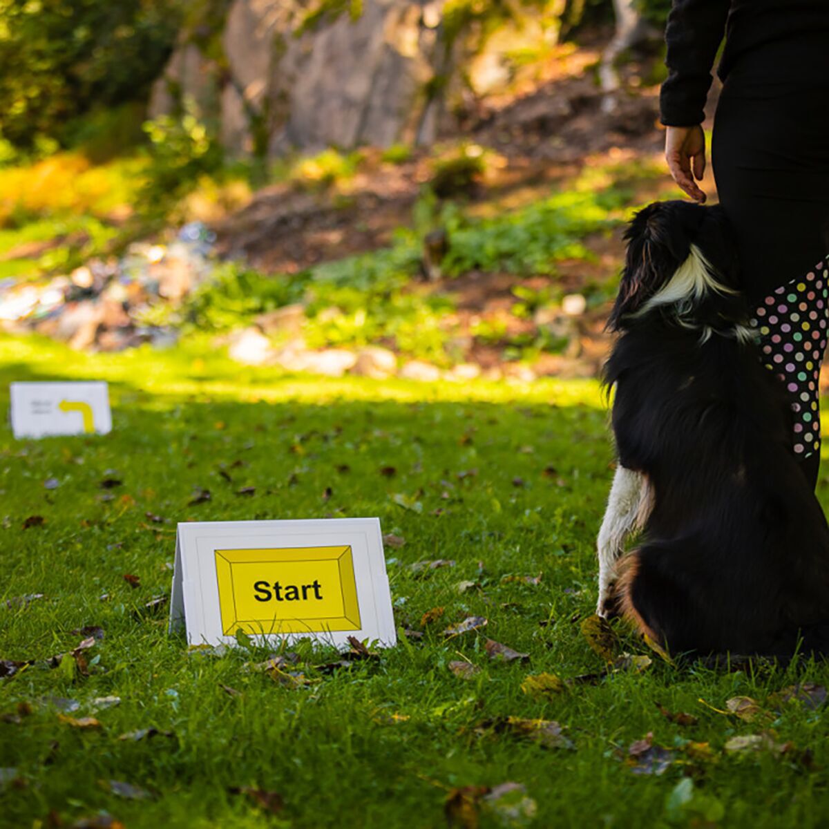 Loype Plastic Rally Stand