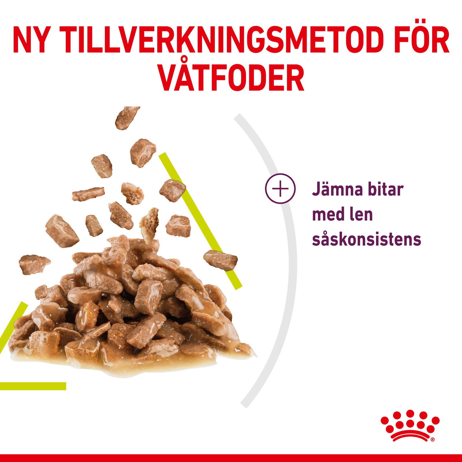 Royal Canin Sensory Mixed Box Gravy Adult våtfoder för katt