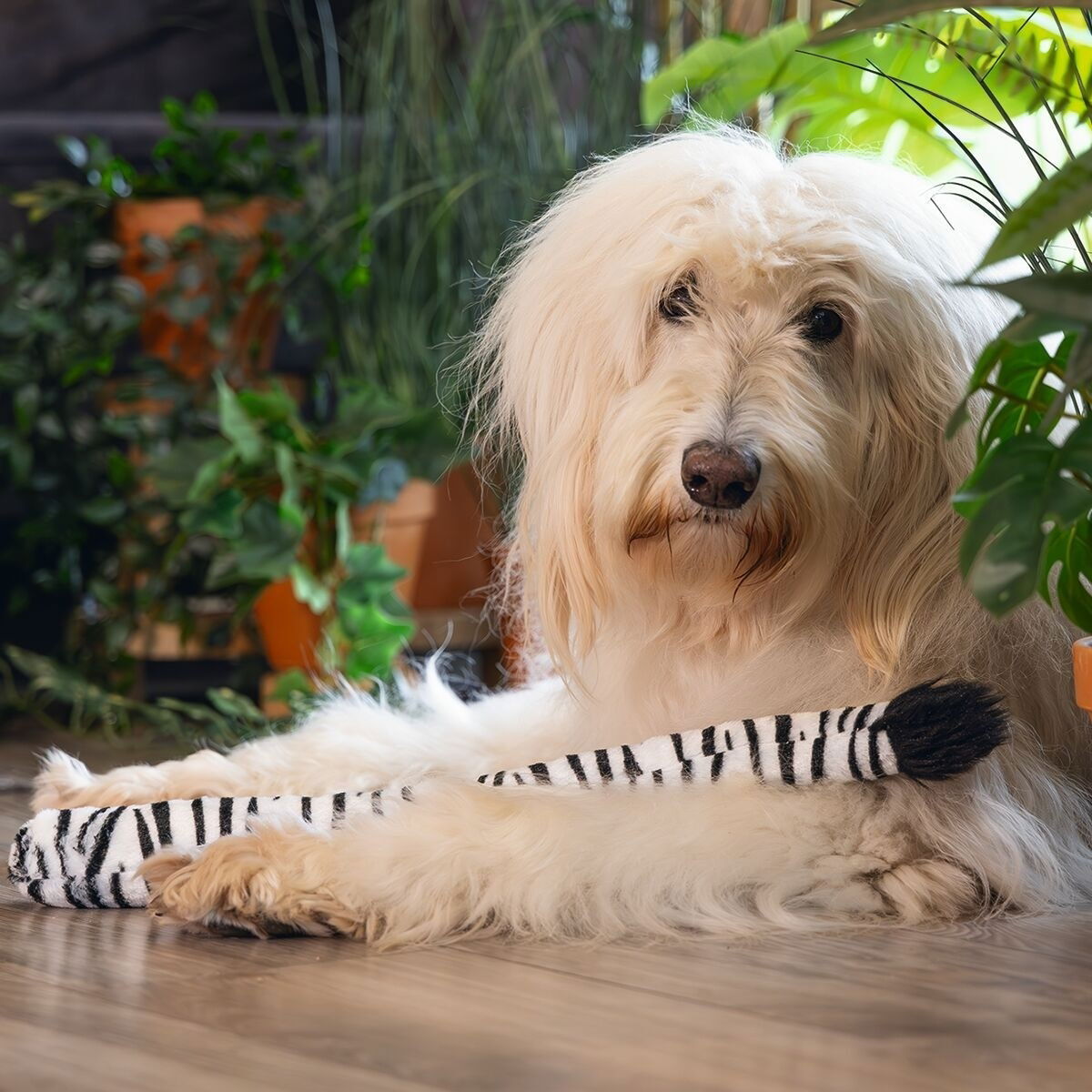 Beeztees Jungle Zebra Tail