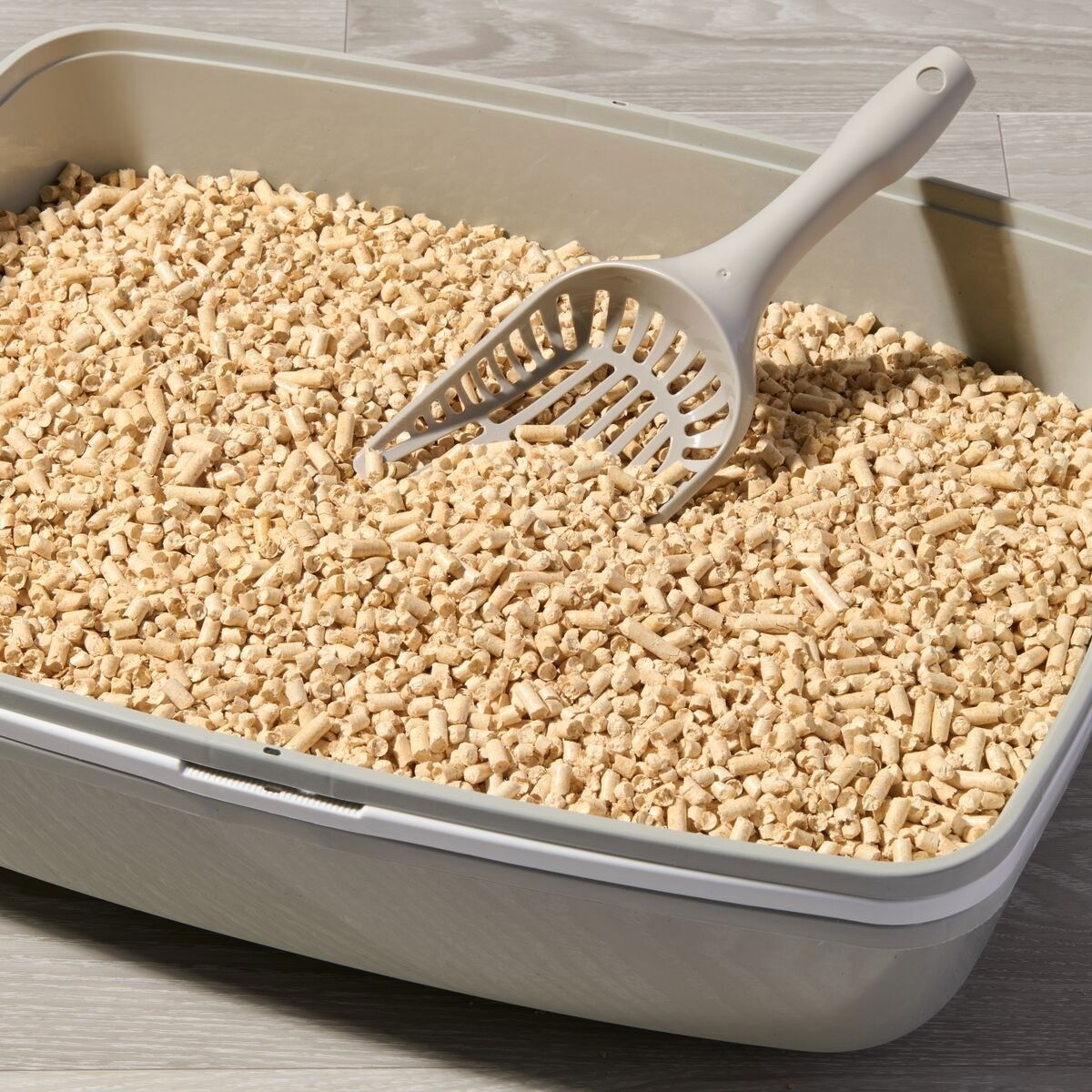 Smily Eco Wood pellet 20 l