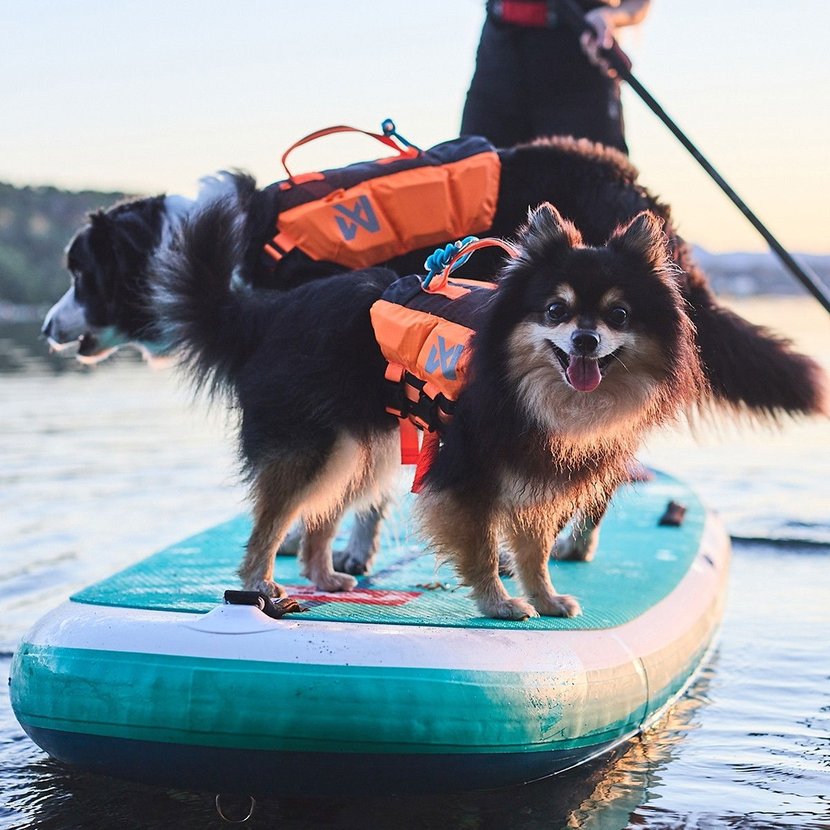 Non-Stop Protector life jacket black/orange