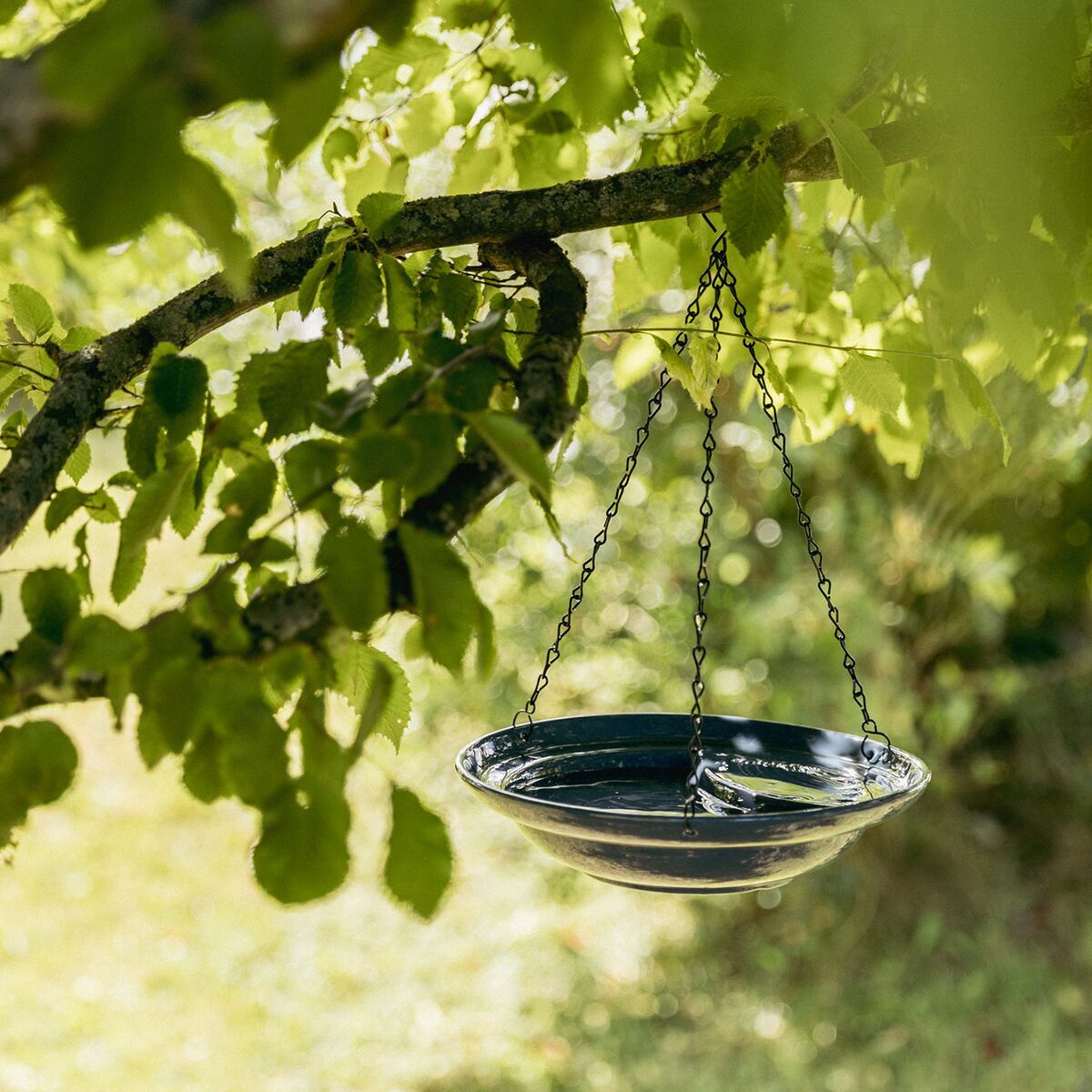 Trixie ceremic bird bath, 530 ml/ø 26cm blue