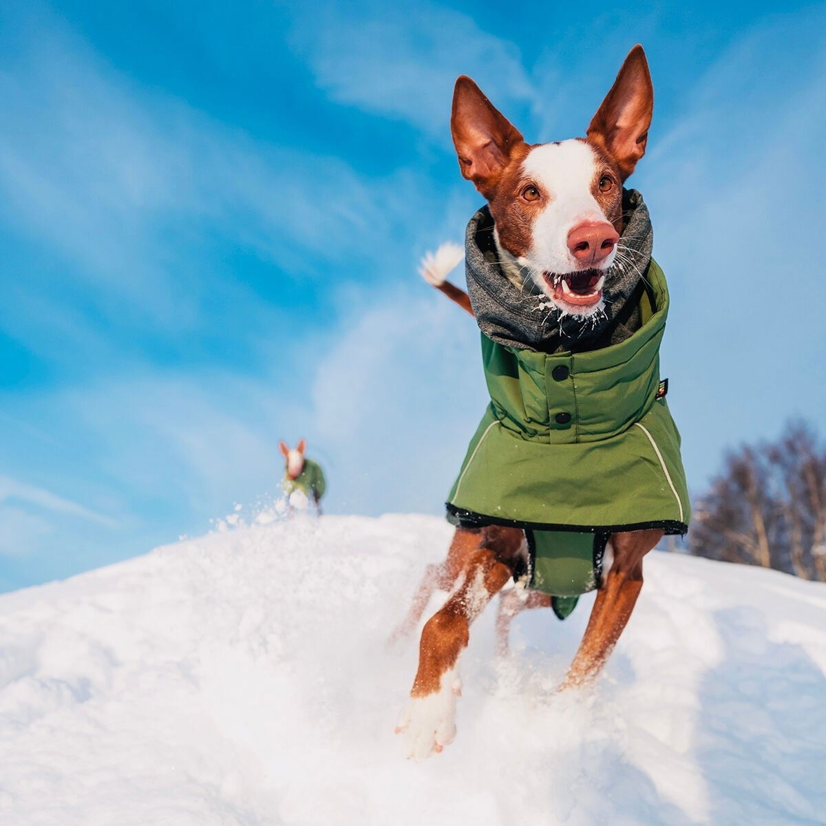 Rukka Warmup 2.0 coat olive