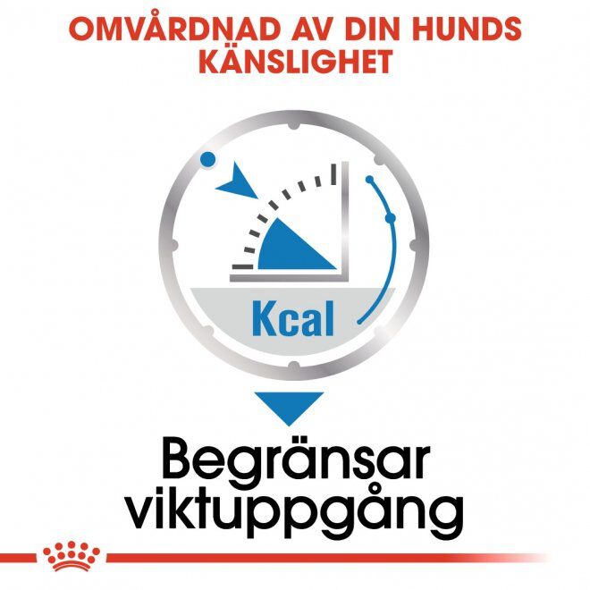 Royal Canin Light Weight Care Adult Loaf våtfoder för hund