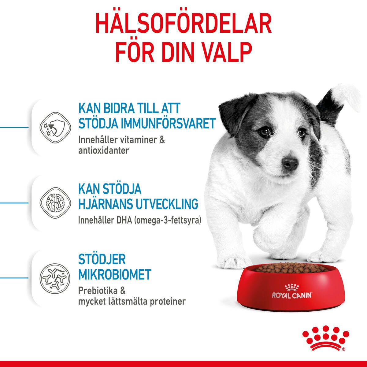 Royal Canin Mini Puppy torrfoder för hundvalp