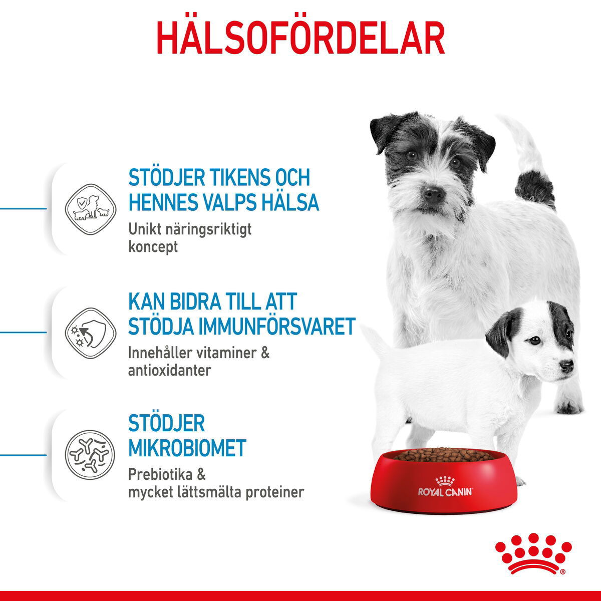 Royal Canin Mini Starter Mother & Babydog
