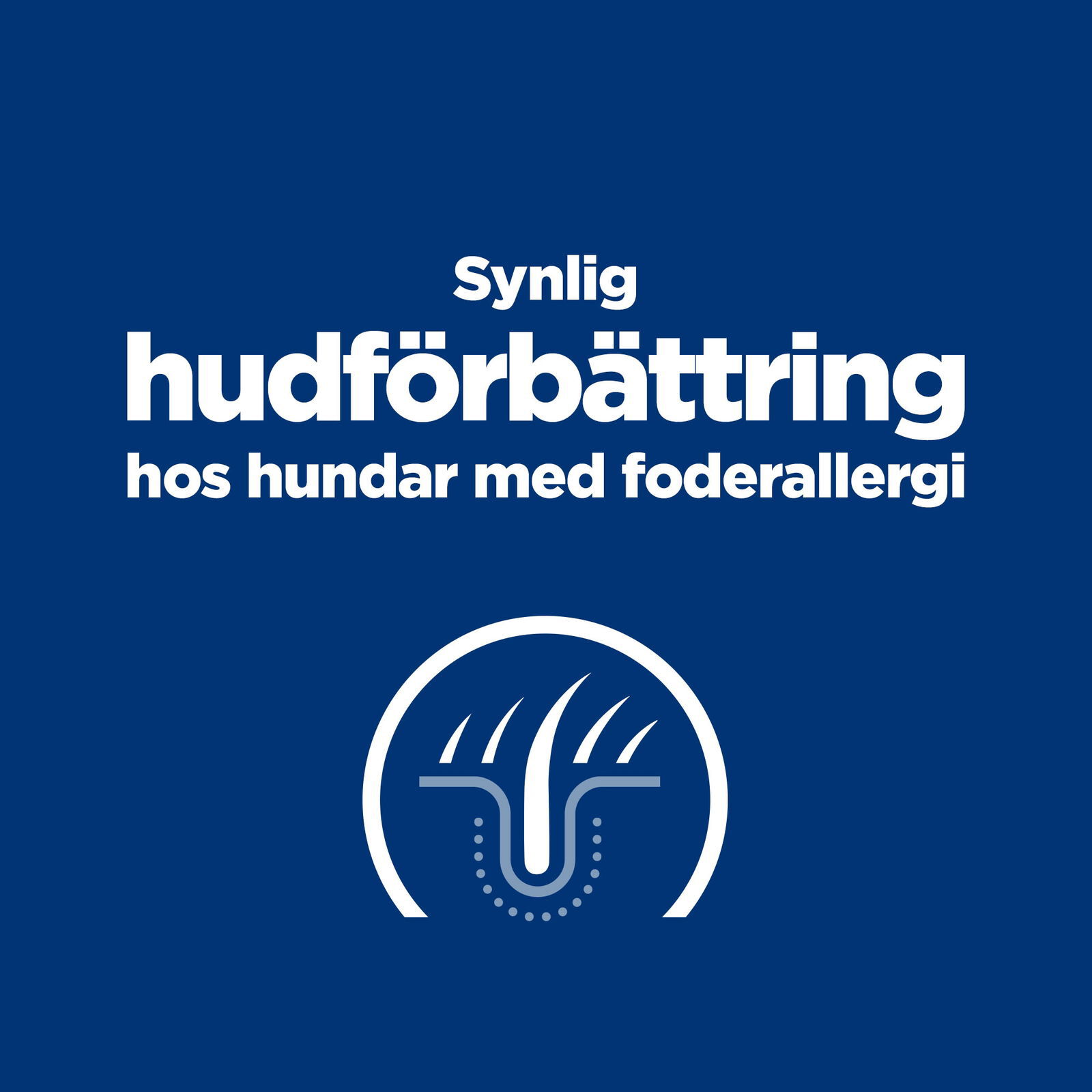 Hill's Diet Dog Derm Complete