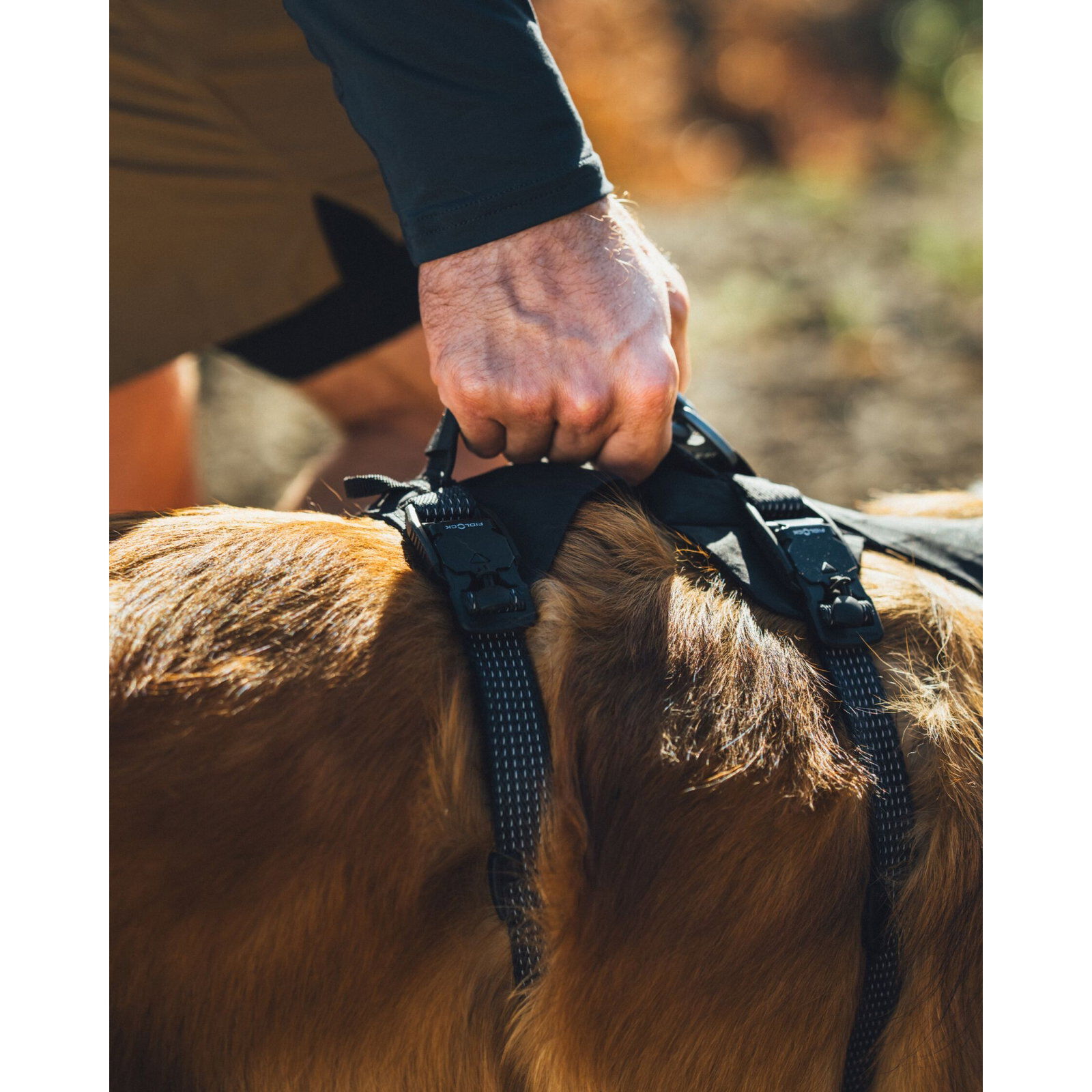 Ruffwear Ridgeline Harness Obsidian Black