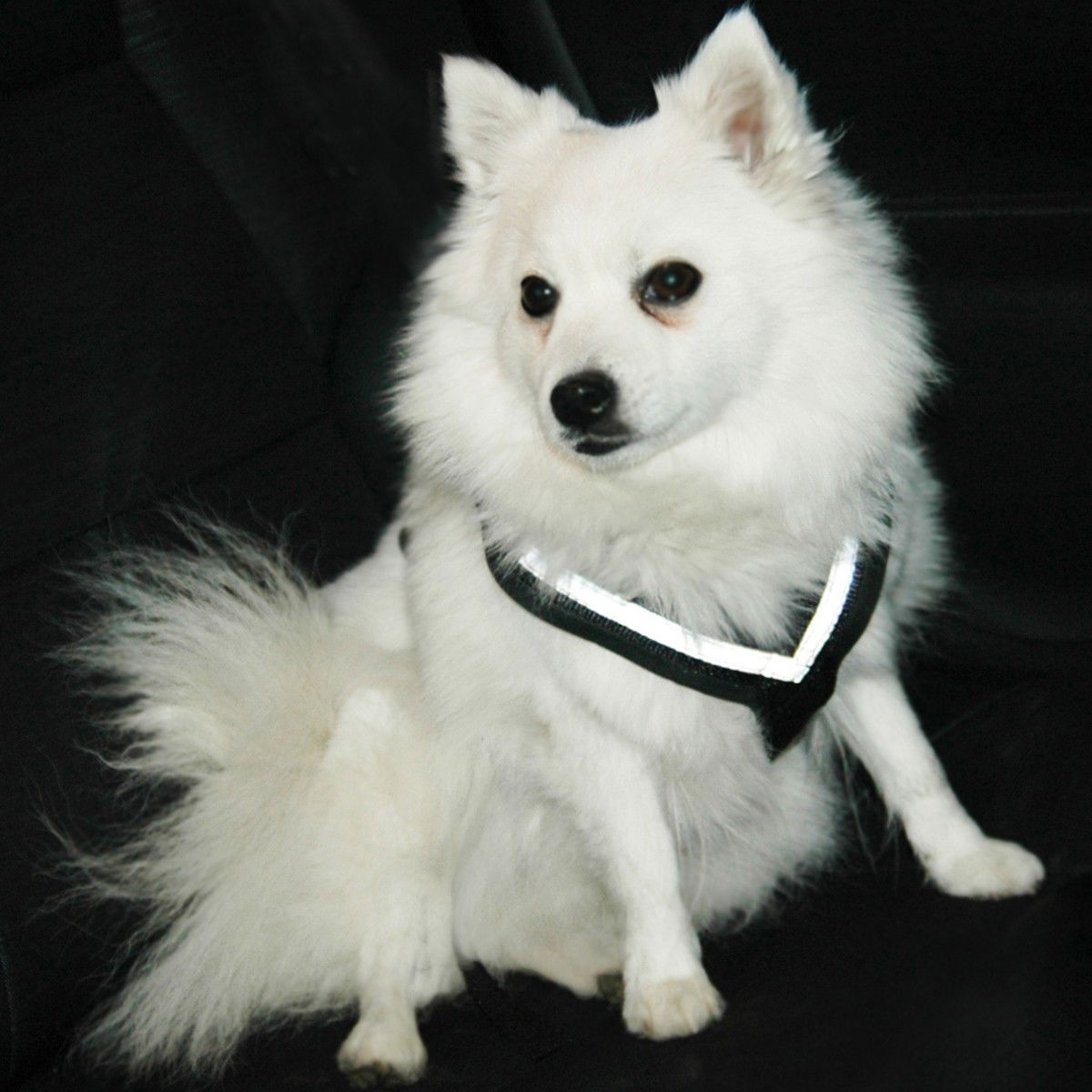 MIM Krockselen Allsafe 