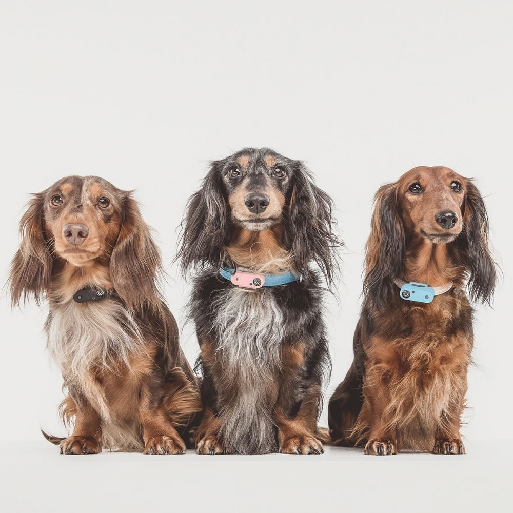 Tickless MINI DOG Electronic Tick Repellent black