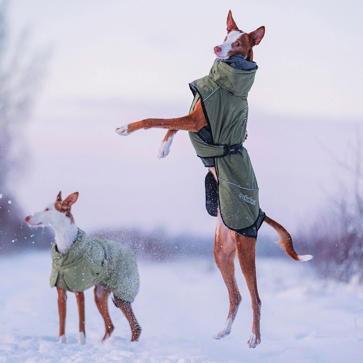 Rukka Warmup 2.0 coat olive