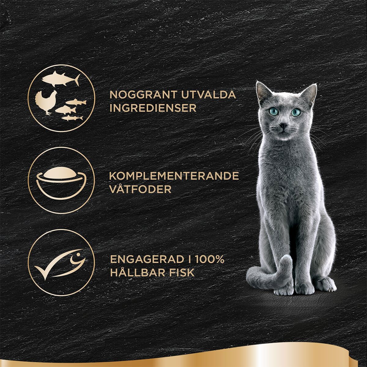 Sheba chicken & tuna gravy 60g