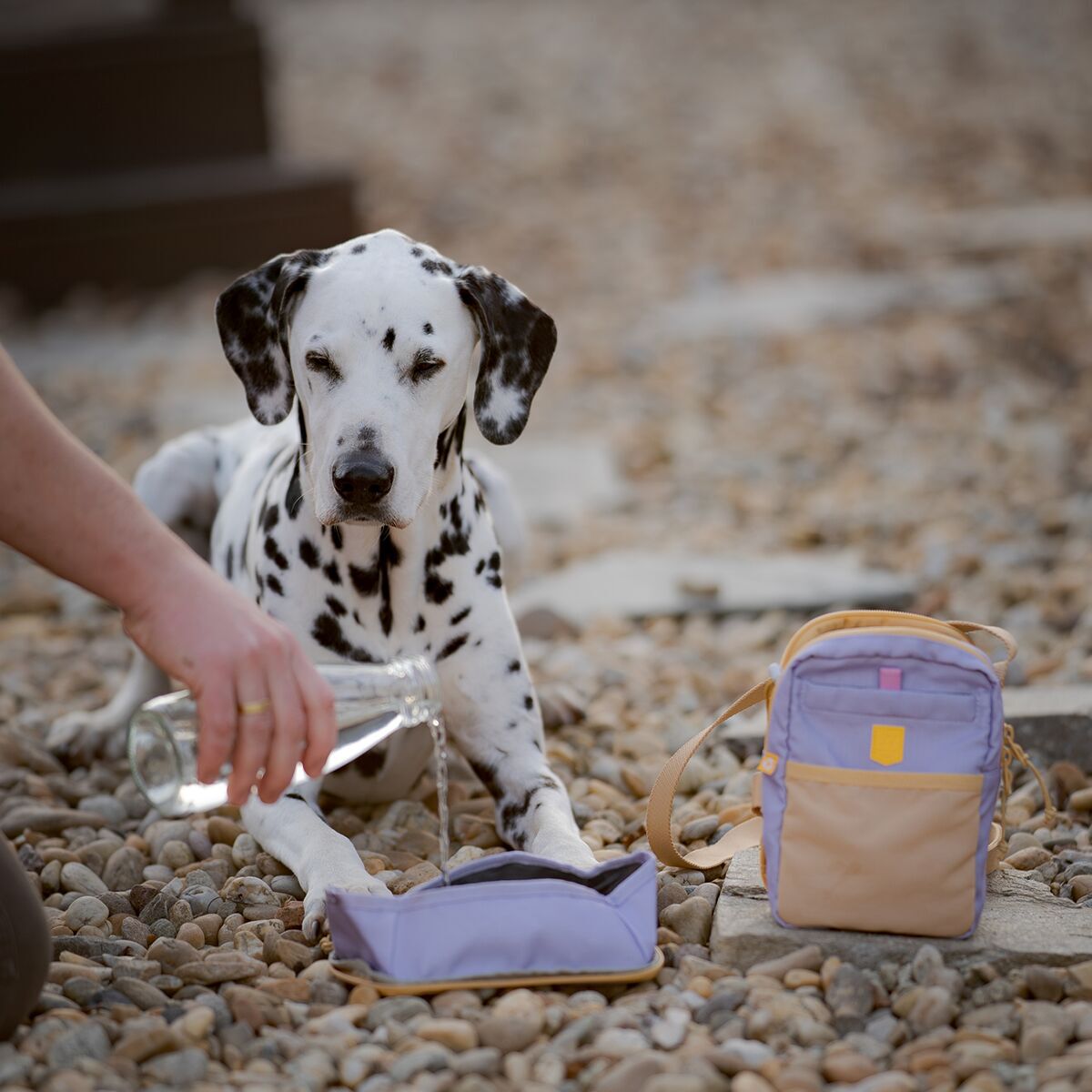 Woolly Wolf Hydration Shoulder Bag Lavender Mix
