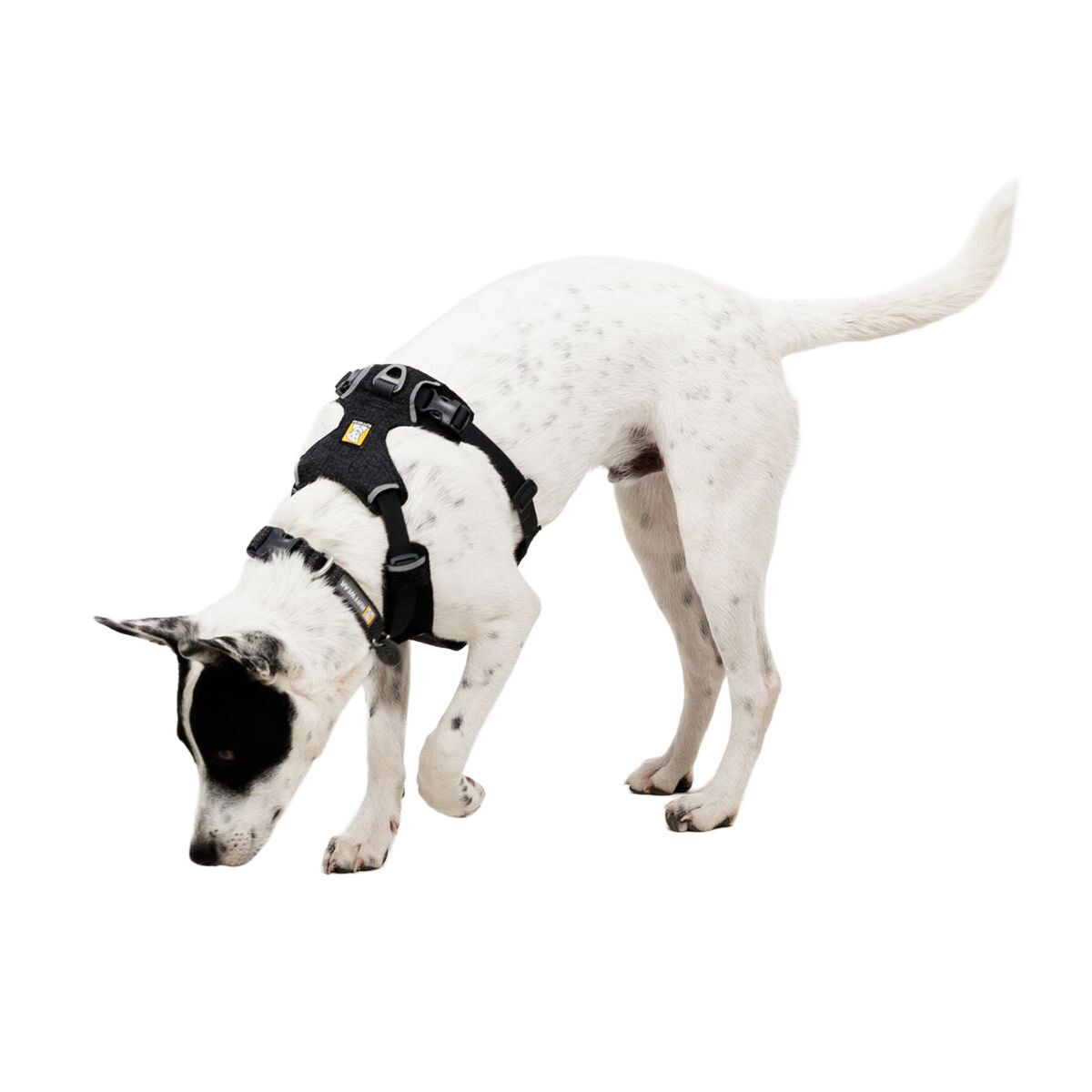 Ruffwear Front Range Flex Harness, Basalt Gray