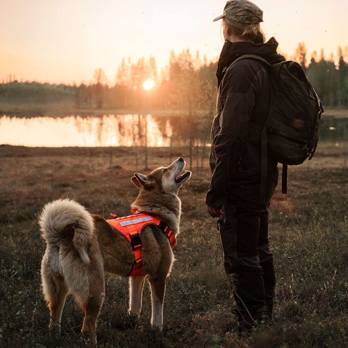 Cerberos Tactical harness Rescue Orange